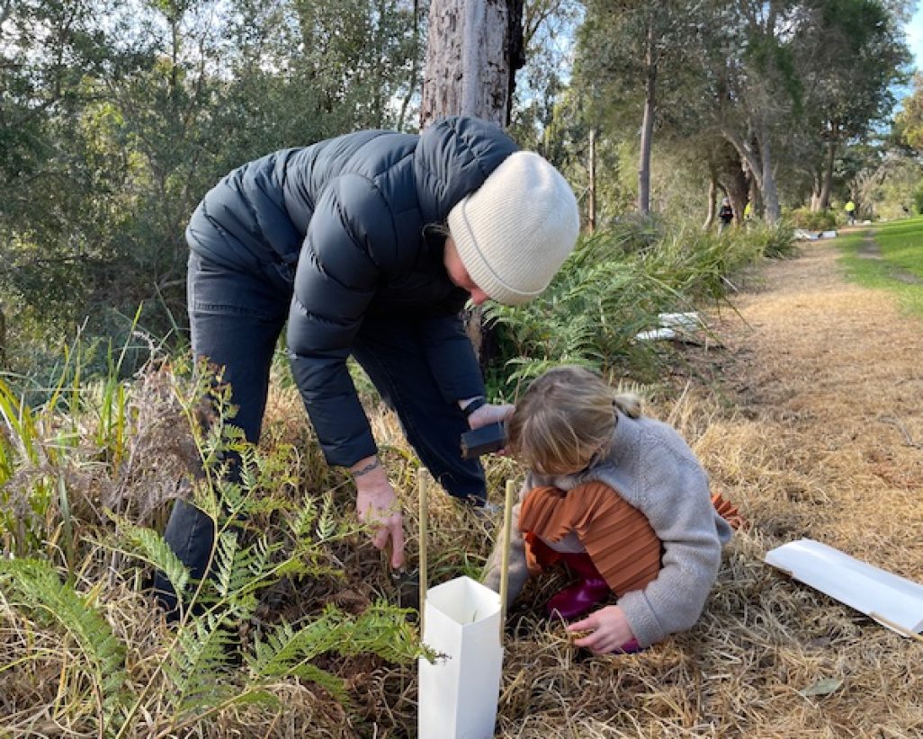 Vic - SunshineReserve4